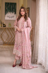 Dhanak Unstitched Embroidered Collection with Dhanak Dupata 701